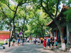 -北京国子监胡同