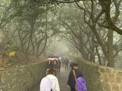 -普陀山慧济禅寺