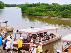 -东寨港红树林旅游区