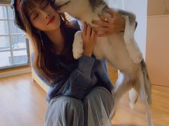 -Husky Go! 哈士奇体验馆·宠物咖啡厅狗咖