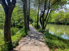 -西溪国家湿地公园