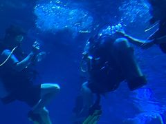 -烟台海昌鲸鲨海洋公园