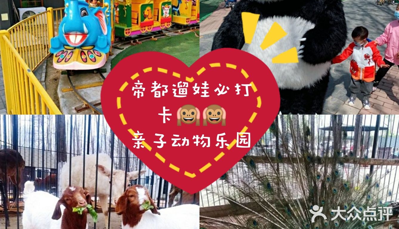 帝都遛娃必打卡🙉🙉亲子动物乐园