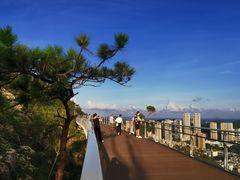 -板樟山森林公园