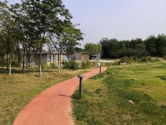-马家湾湿地公园