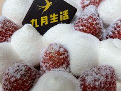 -九月生活(新市街店)