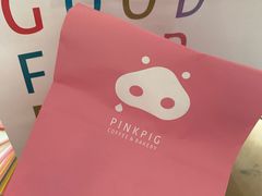 -WHEN PIGS FLY当猪飞