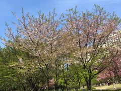 -白塘生态植物园