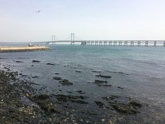 -星海蹦极娱乐