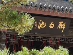 -上海醉白池公园