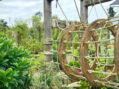 -三圣花乡旅游区