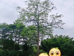 -晓港公园