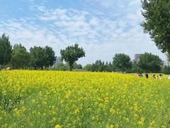 -长白岛森林公园