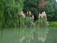 -昆山城市生态森林公园