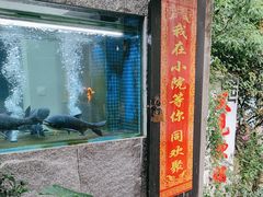 -又见炊烟私房菜(敬亭路店)