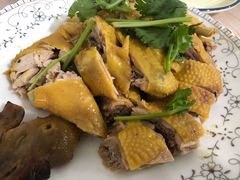 姜汁白切鸡-洪霞餐馆