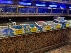 水产区-金米箩大酒店(五角场店)