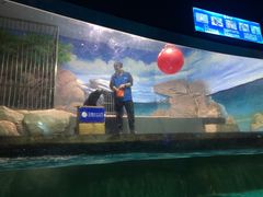 -常州海昌海洋探索馆