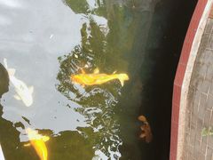 -侠成水上农庄(工业大道店)