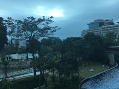 -希尔顿南海酒店·观廊大堂吧·海景下午茶