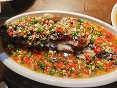 飞虹鱼-飞虹鱼馆(春华路店)