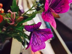 Homestead&nbsp;Coffee(湖滨店)-MEET COFFEE婉约咖啡(宝善公寓店)