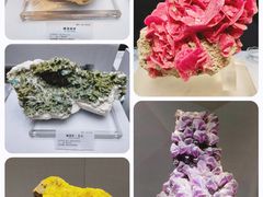 -湖南省地质博物馆