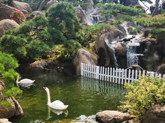 -罗红摄影艺术馆