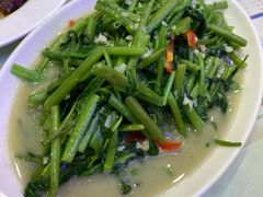 椒絲腐乳通心菜-澳门陈光记烧味饭店(郎家园店)