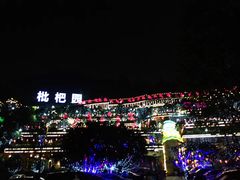-枇杷园食为鲜火锅(南山店)