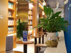 -上海三联书店READWAY(华中首店)