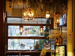 -LE MISSMORE餐酒吧(茉念西里店)