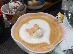 -逗柴咖啡屋·狗咖猫咖宠物桌游