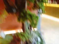 -阿伟海鲜楼·福建菜(延寿店)
