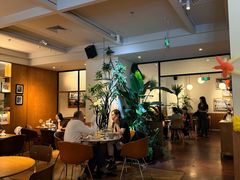 -Wagas沃歌斯(枫蓝国际店)
