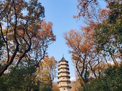 -灵谷景区