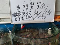 -叶存利海鲜大馅饺子(海宁路总店)