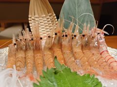 -月龍吟(朝龙汇店)