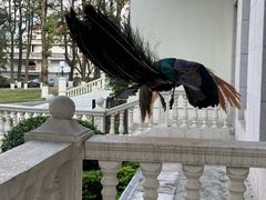 -西昌邛海宾馆