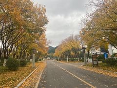 -舜耕山庄四时万和自助餐厅