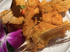 -淘米捞·米汤脆鲩鱼火锅(福田皇岗店)