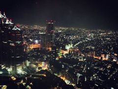 -东京都厅舍
