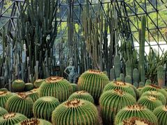 -深圳仙湖植物园