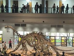 -自贡恐龙博物馆