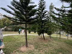-东莞植物园