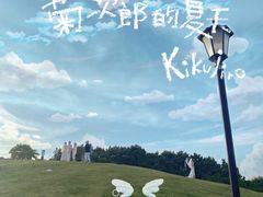 -小麦岛公园