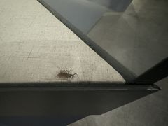 -金山卫抗战遗址纪念园-停车场