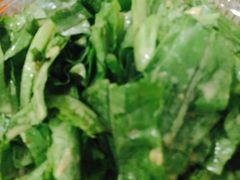 -小叶大馅饺子城