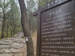 -阳台山自然风景区