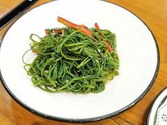 -巴依老爷新疆美食(望京小街店)